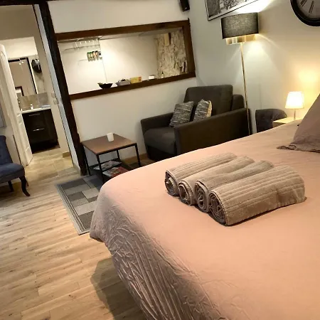 Lovely Studio Le Marais-3